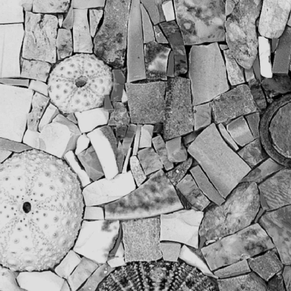 Cours et stages de mosaïque